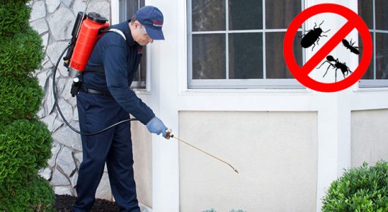 Ovacık Karınca İlaçlama böcek ilaçlama ve haşere kontrolü — ilaclama-tr.com